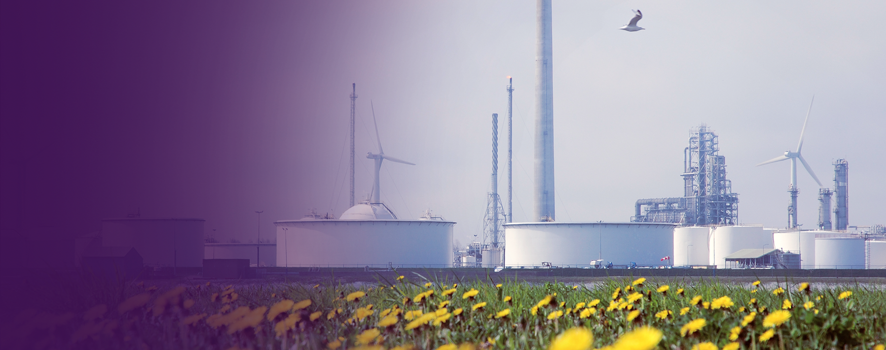 How Digital Capital Projects Accelerate Innovation and Time to ...